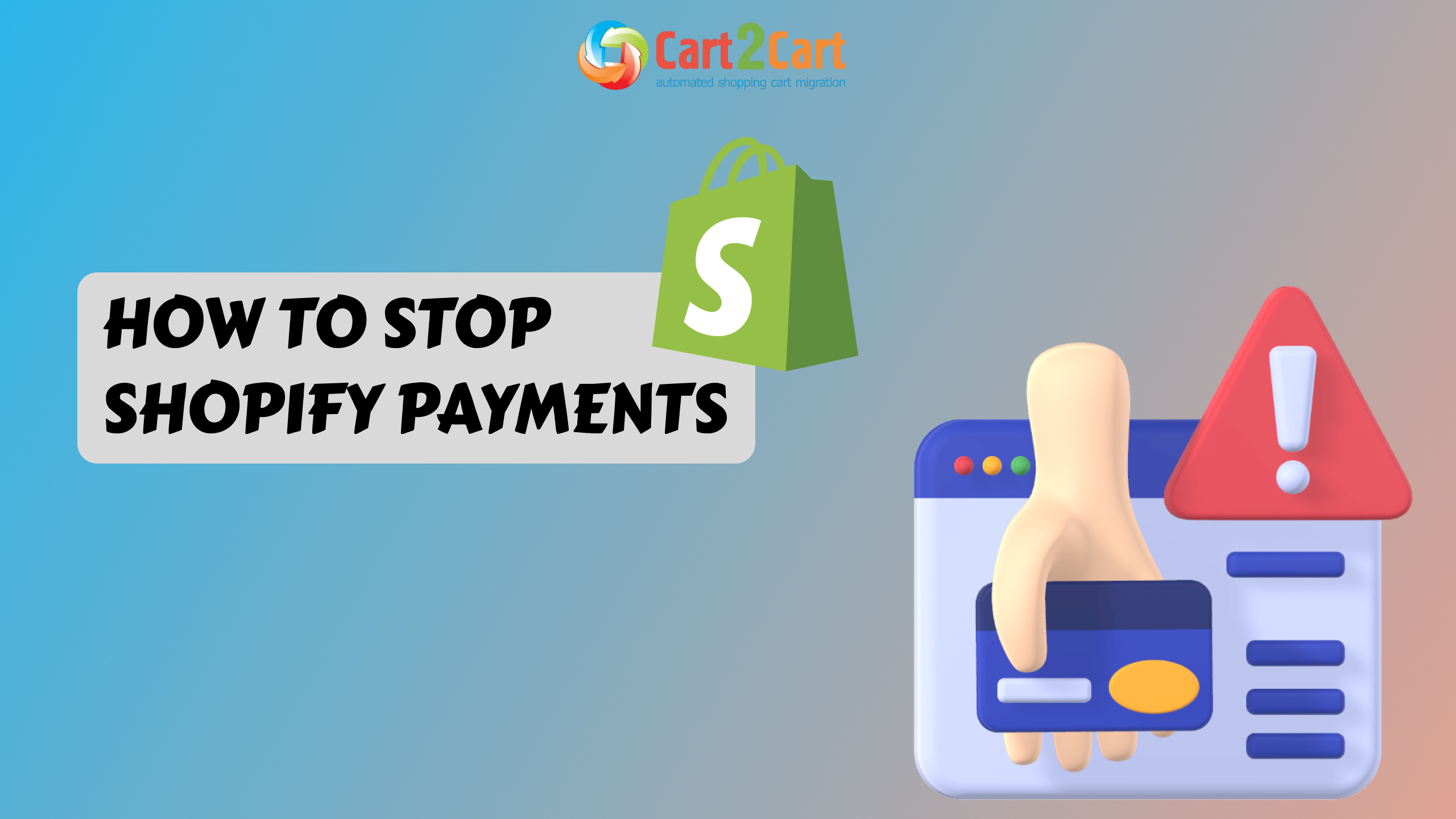 shopify payment